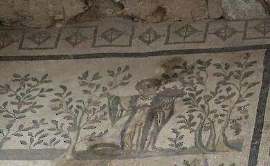 Wie Frauen den Weinbau auf den Landgütern im alten Rom leiteten
