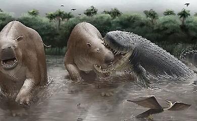 Wer war vor 13 Millionen Jahren der wichtigste Raubtier: Die Antwort hat sich in den Knochen seiner Beute erhalten