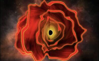 Astronomen haben eine neue Art von astrophysikalischem Objekt entdeckt – einen „Stern mit einem Schwarzen Loch“