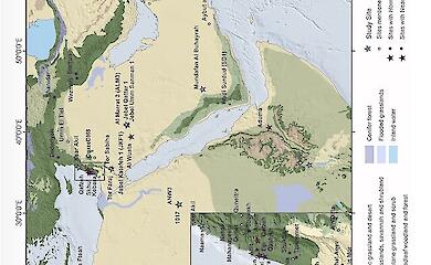 Tief in Arabien wurden Spuren der Neandertaler gefunden &ndash; doch es wurden dort keine Knochen gefunden