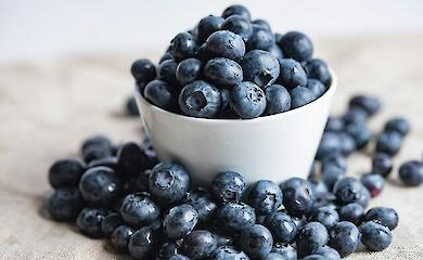 Heidelbeeren sind reich an Anthocyanen