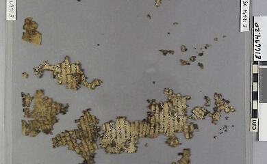 Im Museum wurde ein unbekannter r&ouml;mischer Text &uuml;ber Steuern aus der Zeit vor 1.600 Jahren rekonstruiert
