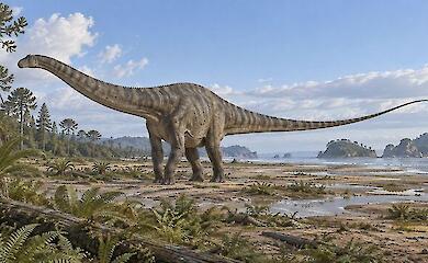 Ein Diplodocus mit langem Hals und Schwanz in der K&uuml;stenebene der Jura-Zeit.